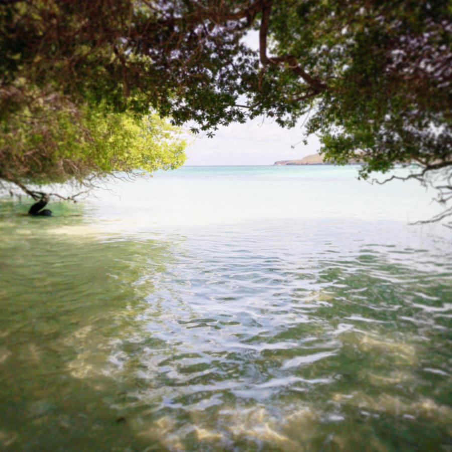 Boa Hill Surf House Ξενοδοχείο Nembrala Εξωτερικό φωτογραφία